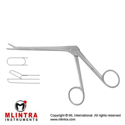 Spurling Leminectomy Rongeur Straight Stainless Steel, 18 cm - 7" Bite Size 4 x 10 mm